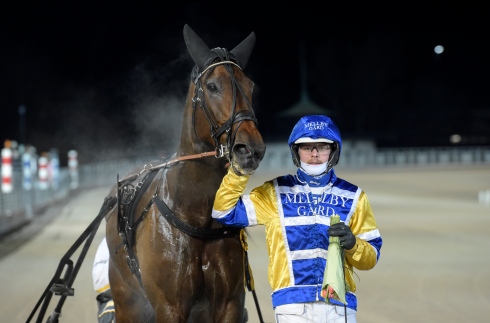 Mellby Imperial efter utklassningssegern tillsammans med Magnus A Djuse. Foto: Lars Jakonsson, TR Bild